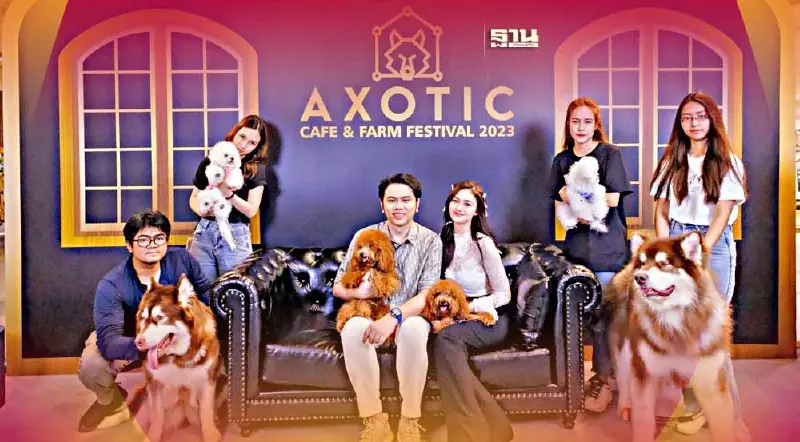 ตามไปดู Axotic Farm ฟาร์มสุนัขสายพันธุ์ Luxury ค่าตัวหลักแสน