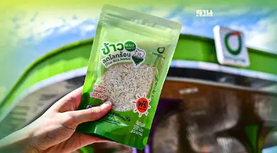 บางจากฯ ส่งต่อ"ข้าวลดโลกร้อน" เกษตรสมัยใหม่รับ"วันสิ่งแวดล้อมโลก"