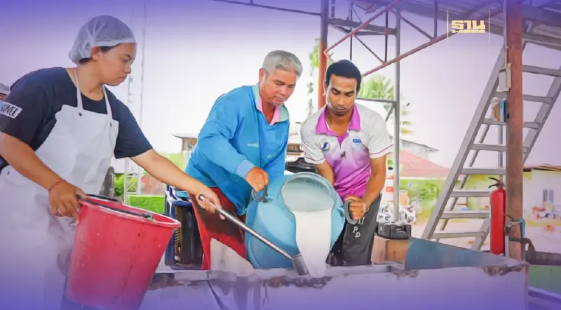 สหกรณ์ฯ ทุ่งยาว จ.ตรัง ตั้งศูนย์รวมน้ำยาง ลดต้นทุนขนส่ง สหกรณ์ฯ ทุ่งยาว จ.ตรัง ตั้งศูนย์รวมน้ำยาง ลดต้นทุนขนส่ง