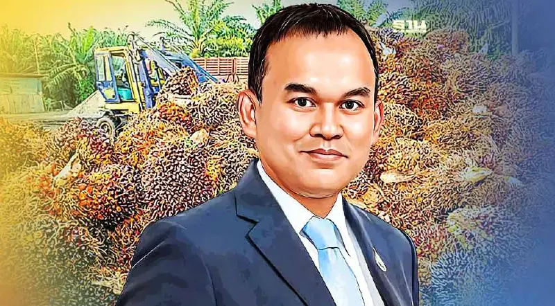 น้ำมันปาล์มดิบในประเทศสูงกว่าส่งออก จับตาครึ่งหลังราคาปาล์มร่วงอีก