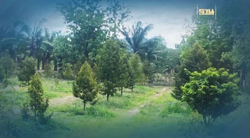 เขื่อนปราณบุรี ส่งรถบรรทุกน้ำไปช่วยเหลือชาวสวนทุเรียน ป้องผลผลิตทุเรียนให้รอดจากภัยแล้ง เขื่อนปราณบุรี ส่งรถบรรทุกน้ำไปช่วยเหลือชาวสวนทุเรียน ป้องผลผลิตทุเรียนให้รอดจากภัยแล้ง