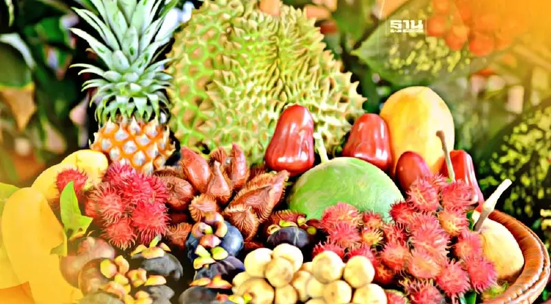 เกาะติดผลไม้ใต้ “พาณิชย์”สั่งลุยมาตรการเชิงรุกดันราคา