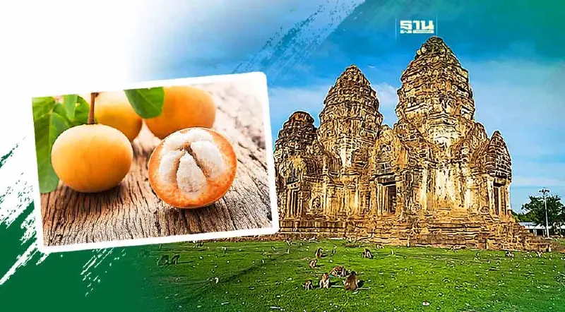 “เทศกาลกระท้อนหวานและของดีเมืองลพบุรี” จัดถึงวันไหนมาอ่านกัน