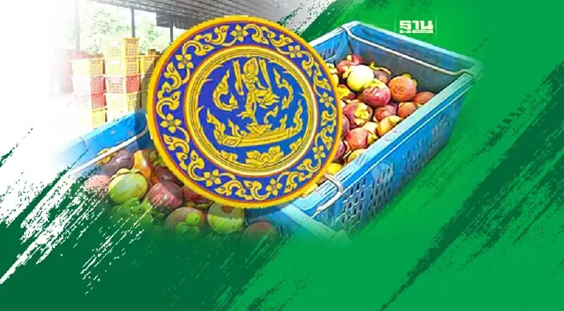  “พาณิชย์”เชือดจริง”ล้ง”ฮั้วกดราคาผลไม้ใต้