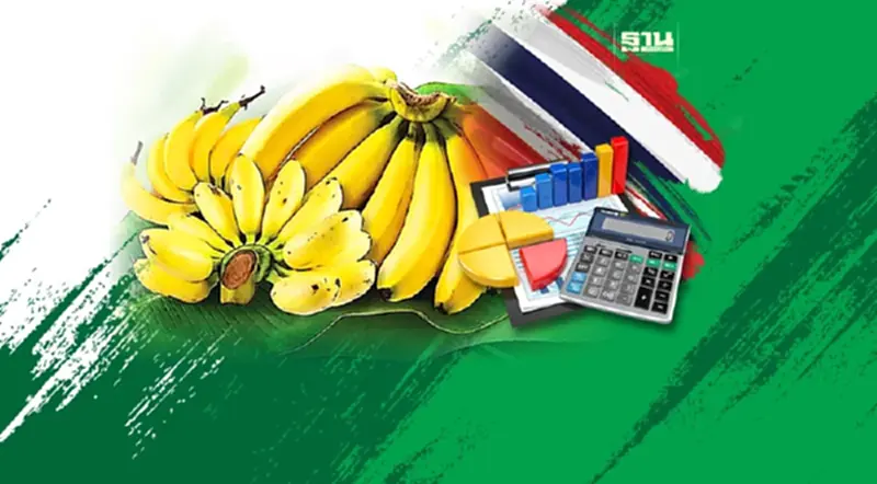 เจาะตลาดโอกาส “กล้วยไทย” มีความต้องการแค่ไหนในตลาดโลก เจาะตลาดโอกาส “กล้วยไทย” มีความต้องการแค่ไหนในตลาดโลก