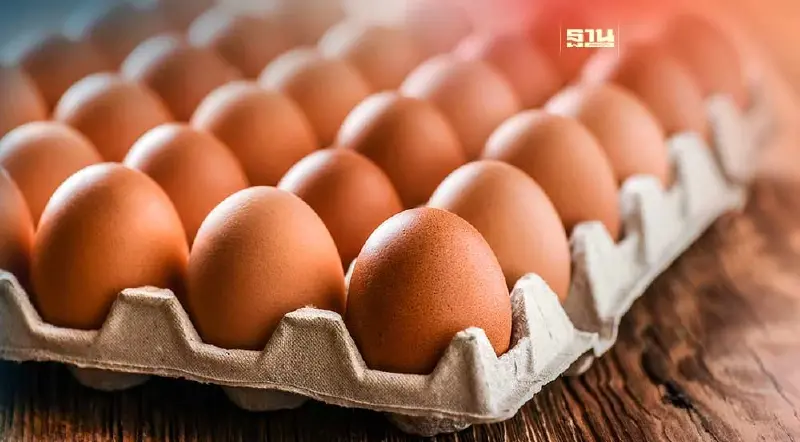 ราคาไข่ไก่วันนี้ 2566 วันที่ 3 ส.ค. ขายฟองละกี่บาทเช็กด่วน