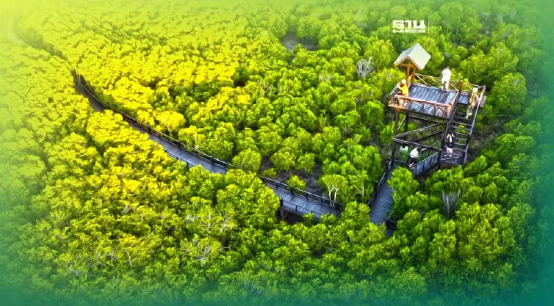 ป่าชายเลนสิรินาถราชินี วนอุทยานปราณบุรี ประจวบฯ 10 ที่สุดอุทยานแห่งชาติ
