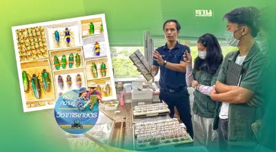 “พิพิธภัณฑ์แมลง” หัวใจงานวิจัยด้านกีฏวิทยา เพิ่มขีดแข่งขันสินค้าเกษตรไทย