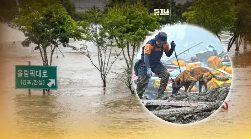 ประมวลภาพ เกาหลีใต้ วิกฤตฝนตกหนัก-น้ำท่วม ผู้เสียชีวิตจำนวนมาก