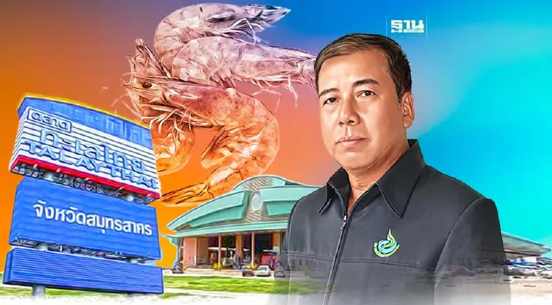 "Shrimp board" แนะชะลอปล่อยกุ้งลงบ่อ รอขายเมื่อราคากระเตื้อง