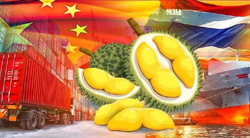 “ทุเรียนไทย”แห่ใช้สิทธิ FTA ส่งออกจีนหนุนเศรษฐกิจไทยเติบโตต่อเนื่อง