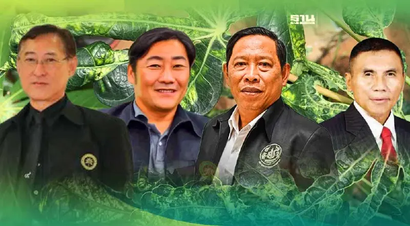 มันสำปะหลัง แสนล้านป่วน จีนเบรกออเดอร์ โรคใบด่างระบาดหนัก