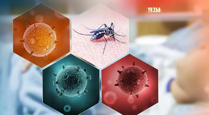 "ไข้เลือดออก" ระบาดหนัก ยอดป่วยสัปดาห์เดียวพุ่ง 5,000 คน