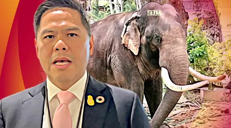 "วราวุธ" แจ้งเอฟซี "พลายประตูผา" คลายกังวลส่งทีมแพทย์บินศรีลังกา