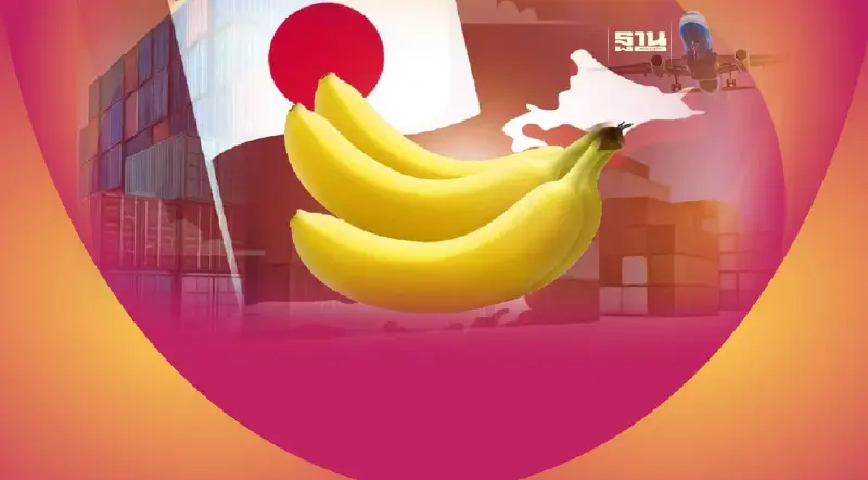 ว้าว!คนญี่ปุ่นชอบกินกล้วยปีละ1ล้านตัน โอกาสทองส่งออก“กล้วยไทย”