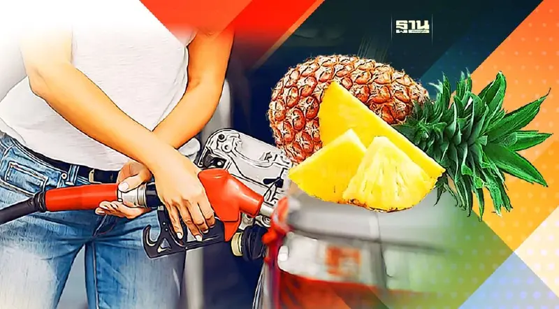 พาณิชย์เตรียมเร่งระบายสับปะรดภาคเหนือช่วยดันราคาเกษตรกร