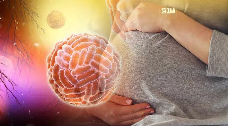 รู้จัก "ไวรัสซิกา" ไทยป่วยแล้ว 110 ราย "หญิงท้อง" เสี่ยงแท้ง