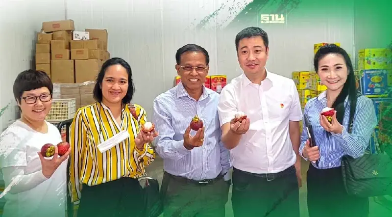 กรมวิชาการเกษตร ปลื้ม! ผลไม้ไทยยังครองแชมป์ผลไม้ยอดนิยมในจีน