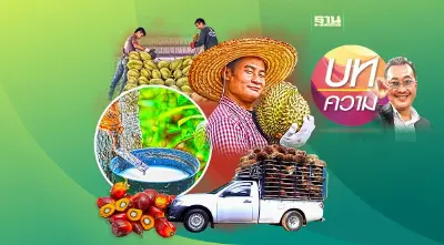 ยางพารา ปาล์ม ทุเรียน อนาคตใครรุ่ง ใครร่วง?