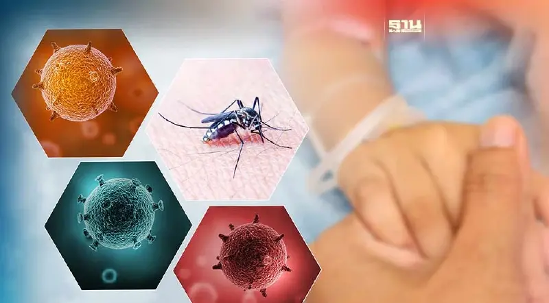 "ไข้เลือดออก" ยังพุ่งสูง ป่วยทะลุ 3.1 หมื่นคน ดับแล้ว 33 ราย 