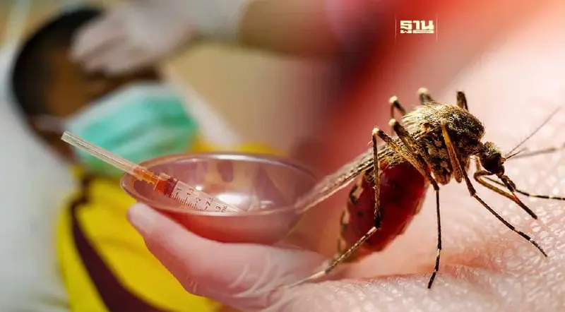 ผวา! พบป่วยไข้เลือดออกครึ่งปีพุ่งกว่า 2.7 หมื่นราย สูงกว่าปีก่อน 3 เท่า