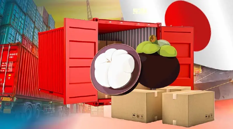 ดันส่งออก “มังคุด”ล็อตแรก 3 ร้อยตัน รับมาตรการใหม่เข้าตลาดญี่ปุ่น