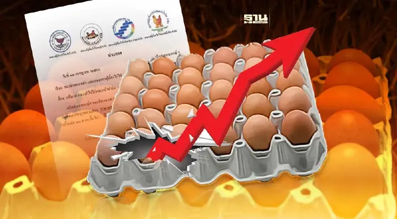 ไข่ไก่ขึ้นราคาแผงละ 6 บาท มีผลวันพรุ่งนี้