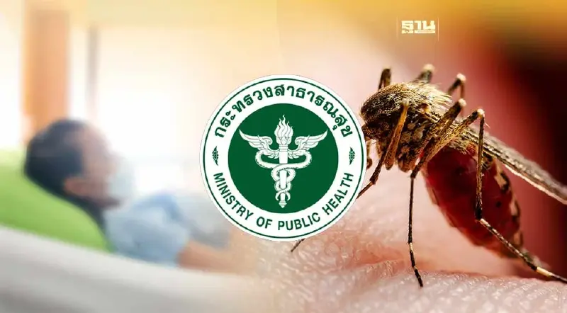 สธ.ชี้ สถานการณ์ไข้เลือดออกระบาด 2566 ผู้ใหญ่เสียชีวิตมากกว่าเด็ก