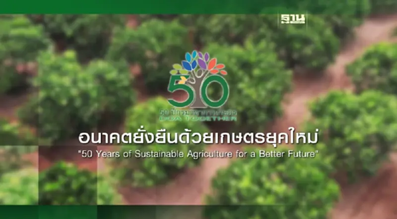 การพัฒนาสารกำจัดศัตรูพืชจากสารสกัดน้อยหน่า ป้องกันกำจัดหนอนใยผักในคะน้า การพัฒนาสารกำจัดศัตรูพืชจากสารสกัดน้อยหน่า ป้องกันกำจัดหนอนใยผักในคะน้า