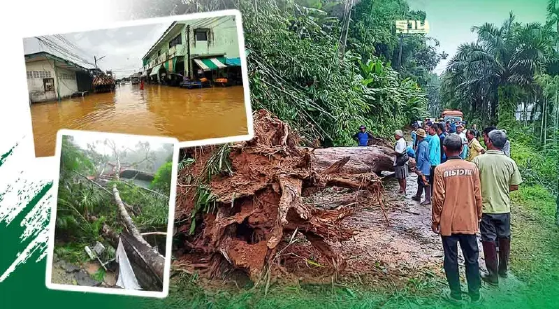 "พายุตาลิม" ถล่มระนองเสียหาย 100 ล้าน ภาคท่องเที่ยวกระทบหนัก
