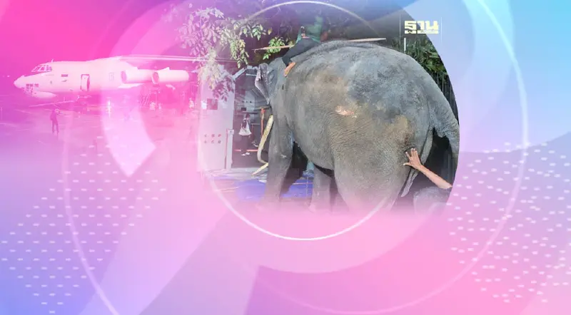 เกาะติด“ช้างไทย" พลายศักดิ์สุรินทร์” ถึงไทยบ่ายนี้