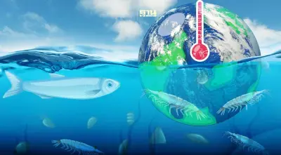 ผงะ! ภาวะโลกรวนกำลังจะทำให้อาหารทะเลกว่า 90% บนโลกหายไป