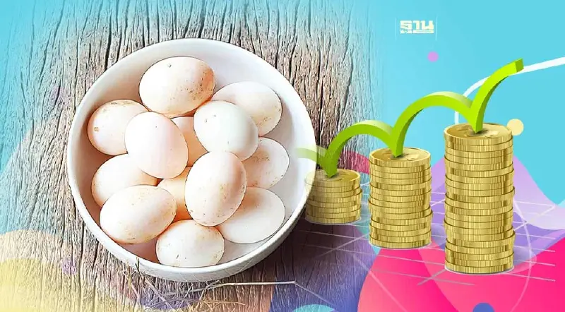 "ไข่เป็ด" ปรับขึ้น 5.10 บาท/ฟอง แพงสุดเป็นประวัติการณ์ มีผลวันนี้