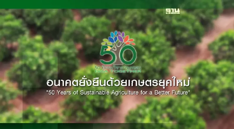 การค้นหาและพัฒนาเครื่องหมายสนิปส์ใหม่เพื่อร่นระยะเวลาการปรับปรุงพันธุ์มันสำปะหลัง การค้นหาและพัฒนาเครื่องหมายสนิปส์ใหม่เพื่อร่นระยะเวลาการปรับปรุงพันธุ์มันสำปะหลัง
