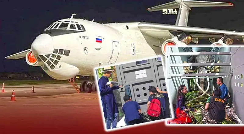 ภารกิจพา “พลายศักดิ์สุรินทร์” กลับบ้าน 2 ก.ค.นี้