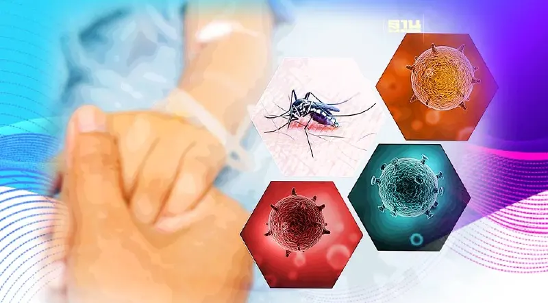 สธ.จ่อยกระดับคุม “โรคไข้เลือดออก” หลังพบยอดผู้ป่วยพุ่งสูง