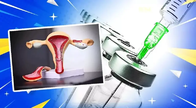 วัคซีน HPV ฟรี จุดลงทะเบียนฉีดวัคซีนมะเร็งปากมดลูก 2566 รอบใหม่ วัคซีน HPV ฟรี จุดลงทะเบียนฉีดวัคซีนมะเร็งปากมดลูก 2566 รอบใหม่