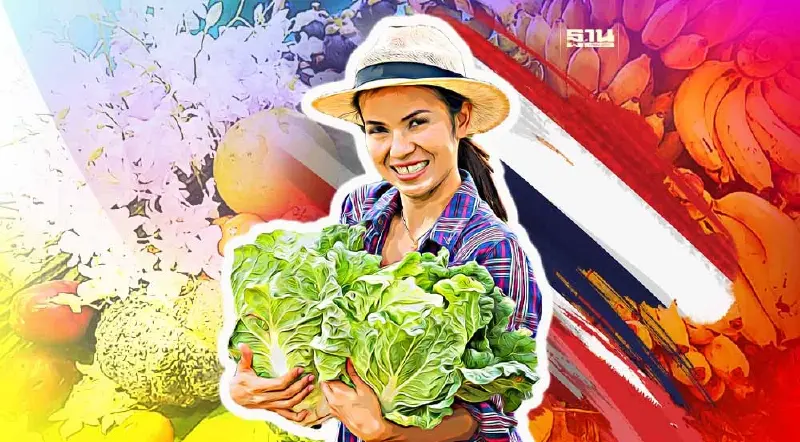 ปีทองพืชเกษตร-ผลไม้ราคาพุ่ง ชาวสวนยิ้มรับทรัพย์