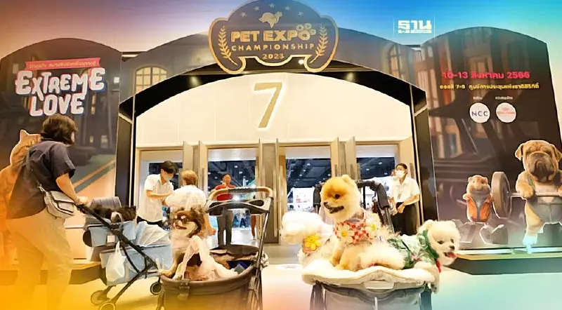 โค้งท้าย PET EXPO CHAMPIONSHIP 2023 คนรักสัตว์ทะลักศูนย์สิริกิติ์