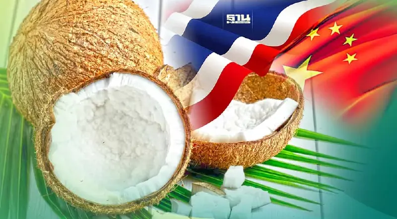 มะพร้าวไทยผลไม้ฤดูร้อนฮิต ใช้สิทธิฯ FTA ส่งออกจีนพุ่ง27%