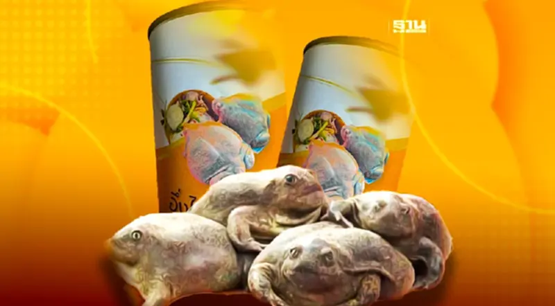 "อึ่งไข่" วาทกรรมใหม่การเมือง เปิดธุรกิจหลักล้าน ส่งออกนอก ราคาพุ่ง 3ตัวพัน "อึ่งไข่" วาทกรรมใหม่การเมือง เปิดธุรกิจหลักล้าน ส่งออกนอก ราคาพุ่ง 3ตัวพัน