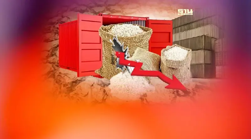 วิเคราะห์ผลกระทบ"เอลนีโญ”อุปสรรคใหญ่ ส่งออกข้าวไทย