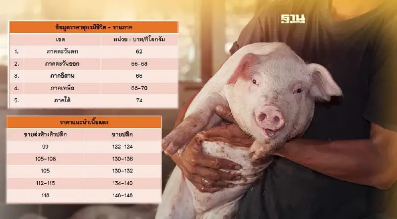 ราคาหมูหน้าฟาร์มทั่วประเทศปรับขึ้น 2-4 บาท/กก.
