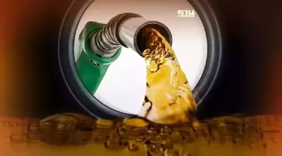 ราคาน้ำมัน ปตท. วันนี้ (6 ส.ค. 2566) ล่าสุดเบนซิน ดีเซลลิตรละกี่บาท