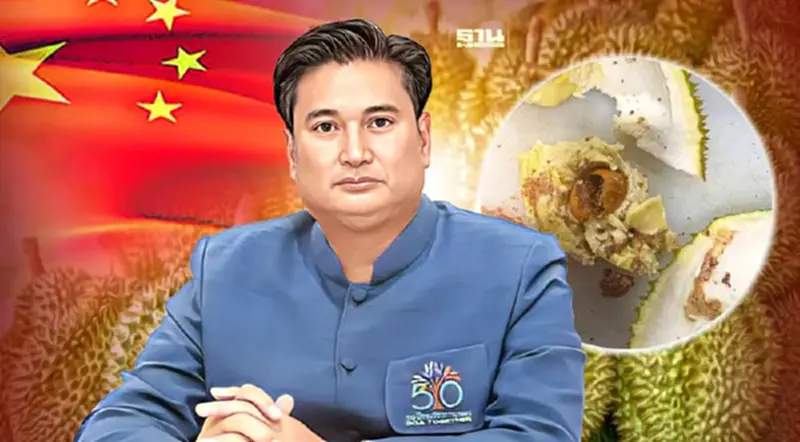 ไทยเข้ม เตรียมแบนล้ง หลังจีนพบหนอนเจาะเมล็ดทุเรียน ไทยเข้ม เตรียมแบนล้ง หลังจีนพบหนอนเจาะเมล็ดทุเรียน