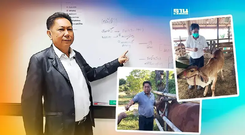 เพื่อไทย เปลี่ยนโคล้านตัว เป็น "โคเงินล้าน" ตั้งปศุสัตว์ตำบลทั่วประเทศ