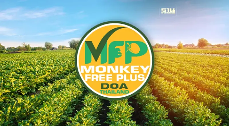กรมวิชาการเกษตร ชูสัญลักษณ์ “MFP”การันตีไทยไม่ใช้ลิงเก็บมะพร้าว กรมวิชาการเกษตร ชูสัญลักษณ์ “MFP”การันตีไทยไม่ใช้ลิงเก็บมะพร้าว