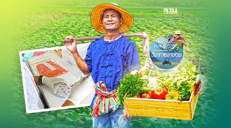 กรมวิชาการเกษตร ผลิตเมล็ดพันธุ์คุณภาพ เพิ่มผลผลิต-รายได้ หนุนไทย Seed-Hub