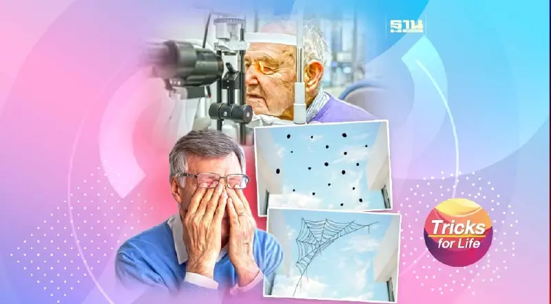 มองเห็น จุดดำ เงาดำ หยากไย่ อย่าปล่อยผ่าน