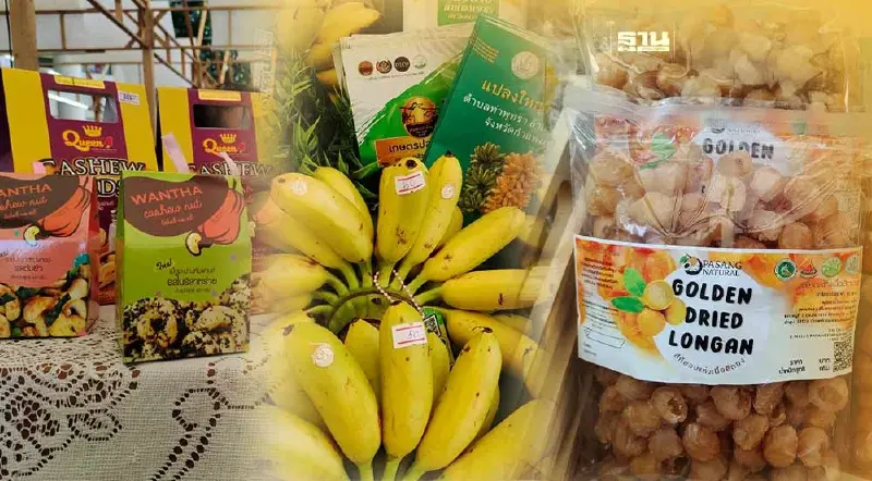 รู้จัก 3 วิสาหกิจชุมชนเกษตรเหนือชูไม้ผลอัตลักษณ์สร้างรายได้ยั่งยืน